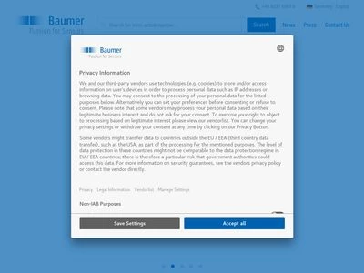 Website von Baumer Holding AG