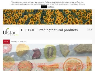 Website von Ulstar GmbH/Srl