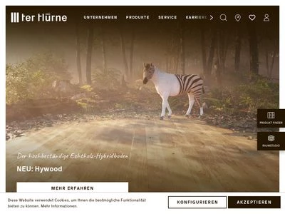 Website von ter Hürne GmbH & Co. KG