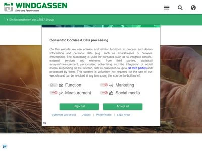 Website von Windgassen GmbH