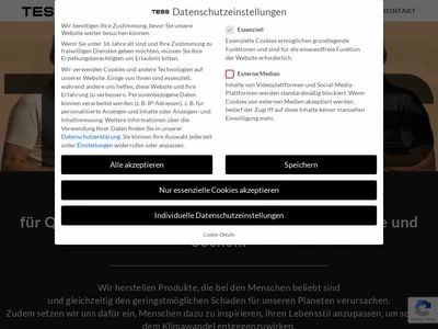 Website von T.ESS GmbH