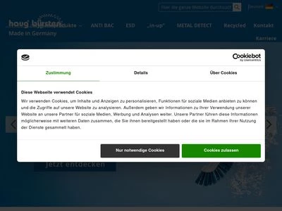 Website von haug bürsten KG