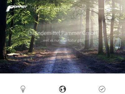 Website von Ölbindemittel Pammer GmbH