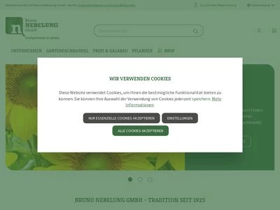 Website von Bruno Nebelung GmbH