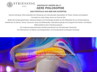 Website von Striessnig Wien