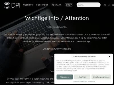 Website von DPI GmbH