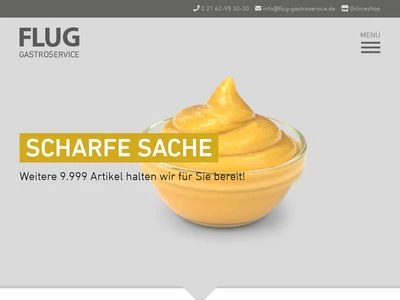 Website von E. & H. FLUG GmbH