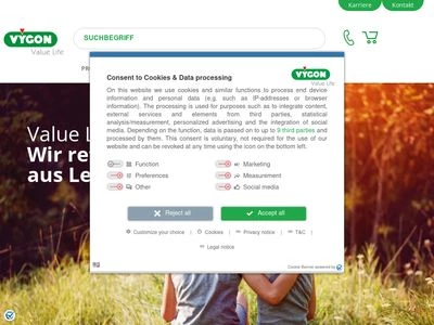 Website von Vygon GmbH & Co KG