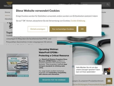 Website von Trelleborg Sealing Solutions Germany GmbH