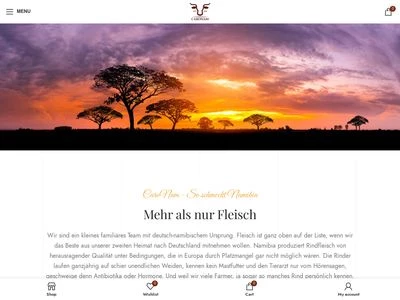 Website von CARONAM GmbH