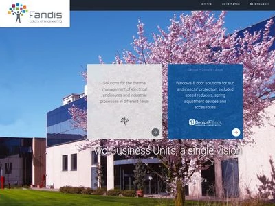 Website von Fandis S.p.A