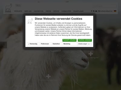 Website von Weseler Teppich GmbH & Co. KG