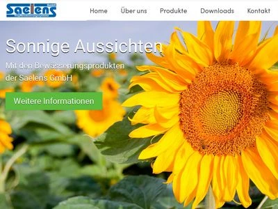 Website von Saelens GmbH