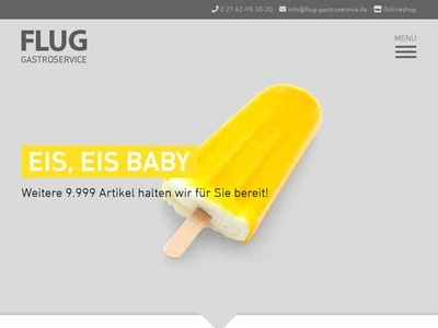 Website von E. & H. FLUG GmbH