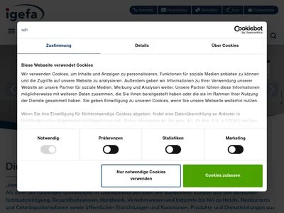 Website von IGEFA Handelsgesellschaft mbH & Co. KG