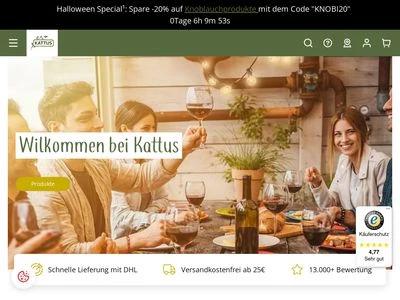 Website von Theodor Kattus GmbH