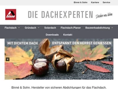 Website von Binné & Sohn GmbH & Co. KG