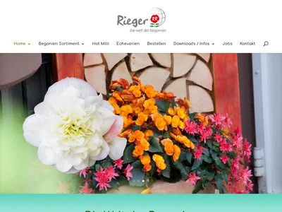 Website von  Begonien-Rieger Vertriebs GmbH