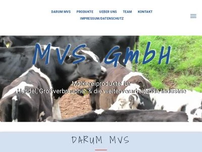 Website von MVS GmbH